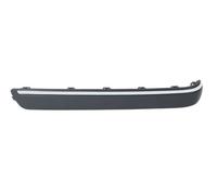 Trim/Protection Strips BLIC 5703-05-3527975P for MERCEDES-BENZ