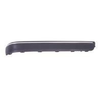 BLIC 5703-05-3527976P Bumper moulding