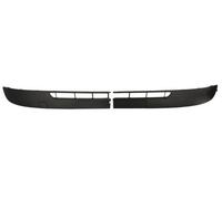 Trim/Protection Strips BLIC 5703-05-6011920P for RENAULT