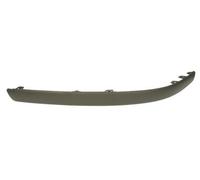 Trim/Protection Strips BLIC 5703-05-9021922P for VOLVO