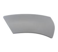 Trim/Protection Strips BLIC 5703-08-1305375P for DACIA