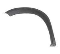 Trim/Protection Strips BLIC 5703-08-1305377P for DACIA