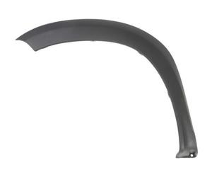 Trim/Protection Strips BLIC 5703-08-1305377P for DACIA