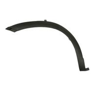 Trim/Protection Strips BLIC 5703-08-3081371P for IVECO