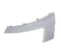 Trim/Protection Strips BLIC 6502-07-0557211P for CITROËN FIAT PEUGEOT