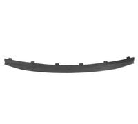 Trim/Protection Strips BLIC 6502-07-1302992P for DACIA
