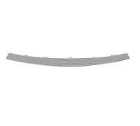 Trim/Protection Strips BLIC 6502-07-1310991P for DACIA