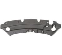 Trim/Protection Strips BLIC 6502-07-2579999P for FORD