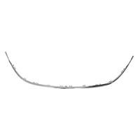 Trim/Protection Strips BLIC 6502-07-5053920P for OPEL
