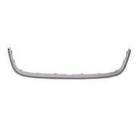 BLIC 6502-07-9568997P Trim/Protection Strip, radiator grille for VW