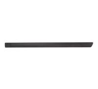 Trim Strip Rear Left Door Fits: FORD FOCUS II 04/07-08/02