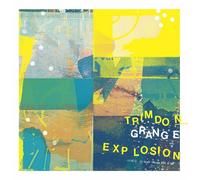 Trimdon Grange Explosion - Dreams Buried Under The Sea
