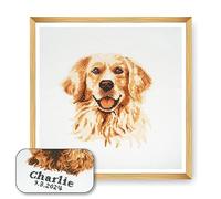 Trimits Large Cross Stitch Kits - Counted Embroidery Needlework for Adults Beginners Kids, Christmas Gifts Wall Art (Frame Not Included), 11 Count, Golden Lab Retriever