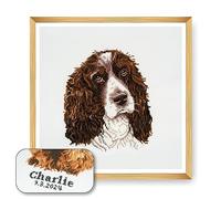 Trimits Large Cross Stitch Kits - Counted Embroidery Needlework for Adults Beginners Kids, Christmas Gifts Wall Art (Frame Not Included), 11 Count, Springer Spaniel