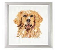 Trimits Mini Counted Cross Stitch Kits, 13 x 13cm (5 x 5in), Golden Retriever