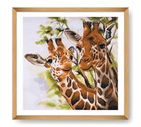 Trimits Printed Cross Stitch Kits - Printed Embroidery Needlecraft for Adults Beginners Kids, Christmas, Gifts, Wall Art (Frame Not Included), 14 Count Aida, Giraffes
