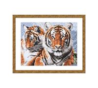 Trimits Printed Cross Stitch Kits - Printed Embroidery Needlecraft for Adults Beginners Kids, Christmas, Gifts, Wall Art (Frame Not Included), 14 Count Aida, Tiger