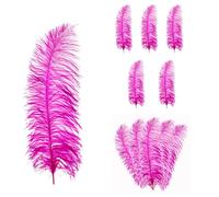 Trimming Shop 19"-23"(50cm - 60cm) Large Ostrich Feathers, Hot Pink, 5pcs