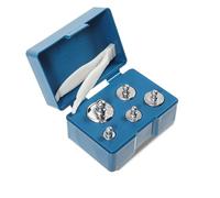 Trimming Shop 5pcs 100g Calibration Weight Set with Tweezers