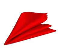 Trimming Shop Men’s Satin Pocket Square Handkerchief - Solid Colour Suit Hanky for Wedding, Groom, Prom, Party Unisex Plain Formal Wear Fashion Pocket Square, Soft Satin Dress Hanky (23cm, Red)