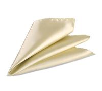Trimming Shop Men’s Satin Pocket Square Handkerchief - Solid Colour Suit Hanky for Wedding, Groom, Prom, Party Unisex Plain Formal Wear Fashion Pocket Square, Soft Satin Dress Hanky (23cm, Beige)