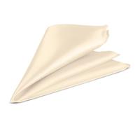 Trimming Shop Men’s Satin Pocket Square Handkerchief - Solid Colour Suit Hanky for Wedding, Groom, Prom, Party Unisex Plain Formal Wear Fashion Pocket Square, Soft Satin Dress Hanky (23cm, Ivory)