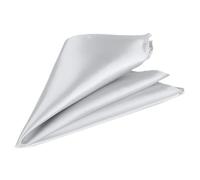 Trimming Shop Men’s Satin Pocket Square Handkerchief - Solid Colour Suit Hanky for Wedding, Groom, Prom, Party Unisex Plain Formal Wear Fashion Pocket Square, Soft Satin Dress Hanky (23cm, Silver)