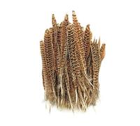 Trimming Shop Natural Pheasant Feathers for Crafting, 25-30cm, 10pcs | DIY Pheasant Tails Feather, Soft Native Plume for Hair Hats Crafts Party Decoration Props, Natural Colour