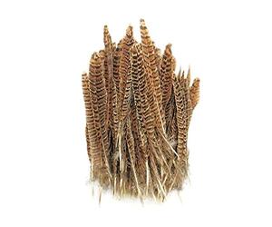 Trimming Shop Natural Pheasant Feathers for Crafting, 25-30cm, 10pcs | DIY Pheasant Tails Feather, Soft Native Plume for Hair Hats Crafts Party Decoration Props, Natural Colour