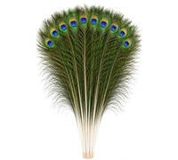 Trimming Shop Real Large Peacock Feathers 27-31 Inch, 50pcs