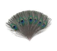 Trimming Shop Real Peacock Feather 10 inches - 12 inches Bird Tail Colourful Feathers Pack for Wedding Christmas Party Centerpiece Decoration, DIY Art & Craft, 25pcs