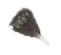 Trimming Shop Real Peacock Feather 15 inches - 18 inches Bird Tail Colourful Feathers Pack for Wedding Christmas Party Centerpiece Decoration, DIY Art & Craft, 25pcs