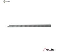 TRIMPROTECTION STRIP DOOR 5703-04-6001577P FOR RENAULT B4D419/409/470 1.0L 3cyl