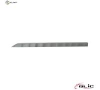 TRIMPROTECTION STRIP DOOR 5703-04-6001577P FOR RENAULT B4D419/409/470 1.0L 3cyl