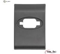 BLIC 5703-06-6089570LP Side moulding