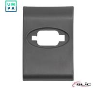 BLIC 5703-06-6089570LP Side moulding