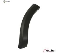 Trim/Protection Strips BLIC 5703-04-1303598P for DACIA