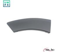 TRIMPROTECTION STRIP WING 5703-04-1305598P FOR DACIA K9K856/658/858/898 1.5L