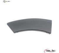 TRIMPROTECTION STRIP WING 5703-04-1305598P FOR DACIA K9K856/658/858/898 1.5L