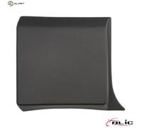 Fits BLIC 5703-04-6063582P Garnish strips side Right do FIAT TALENTO; NISSAN NV