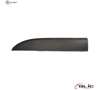 TRIMPROTECTION STRIP WING 5703-04-6063585PP FOR RENAULT TRAFIC/III/Van/Bus 2.0L