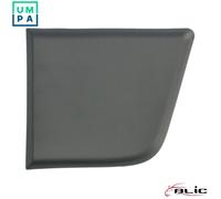 BLIC 5703-06-2097571P Trim / Protective Strip, sidewall
