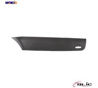 BLIC 5703-06-3547577P Trim / Protective Strip, sidewall