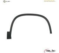 BLIC 5703-06-6092574P Trim / Protective Strip, sidewall