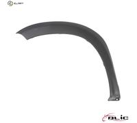 Blic Trim/Protection Strip 5703-08-1305377P – Wing for Dacia, Renault 1.5L