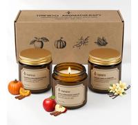 TRINIDa Autumn Scented Candles Set, 3 Pack 3.5 oz, Pumpkin Cinnamon & Apple Cinnamon & Creamy Vanilla, Natural Soy Wax Candle for Fall Atmosphere, Long Burning 90-105 Hrs, Aromatherapy Gift Set