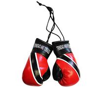 Trinidad Flag Mini Boxing Gloves for Car or Home