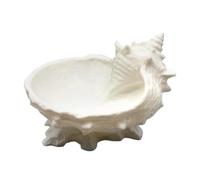 Trinket Dish Seashell Display Aesthetic Artistic Storage Organizer | Vanity Jewelry Tray Trinket Plate for Bracelet Coin Home Office Bedroom Bathroom Vanity Entryway Table