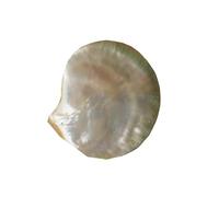 Trinket Dish Trinket Dish Shell Jewelry Storage Plate, Display Home Decoration, Desktop Ornaments