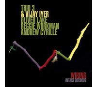 Trio 3 Plus Vijay Iyer - Wiring